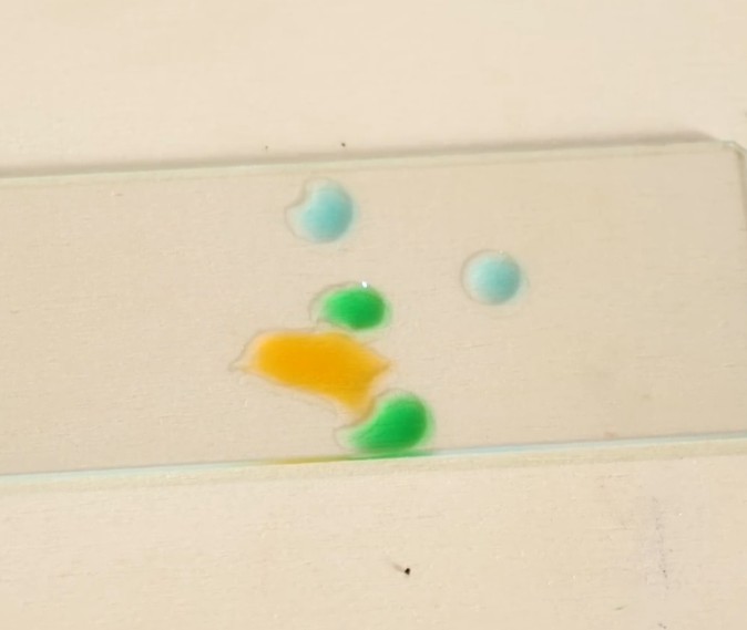 The Action Lab - Why Is This Liquid Attracted To Blood