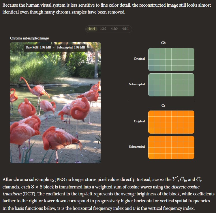 sophielwang - la compression des images au format JPEG expliquée
