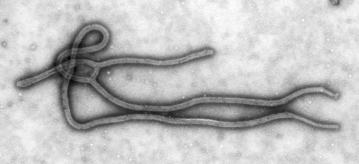 Ebola-220108.jpg
