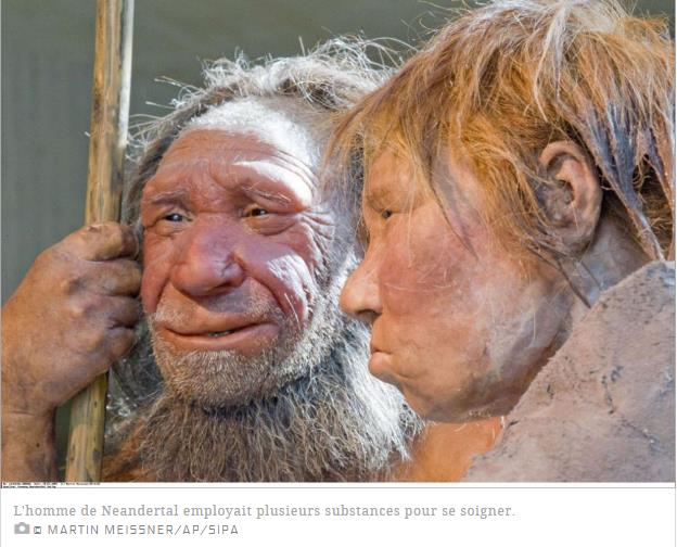 Neandertal_prenait_de_l_aspirine.jpg