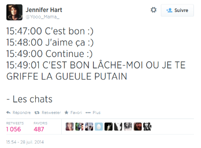 TwitterChat.png, août 2014 TwitterChat.png