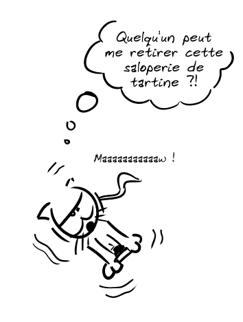 chat-et-tartine-debunked.png