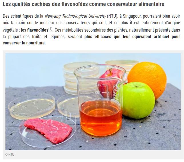 consoglobe.com conservateur-alimentaire-vegetal-flavonoides-cg.jpg