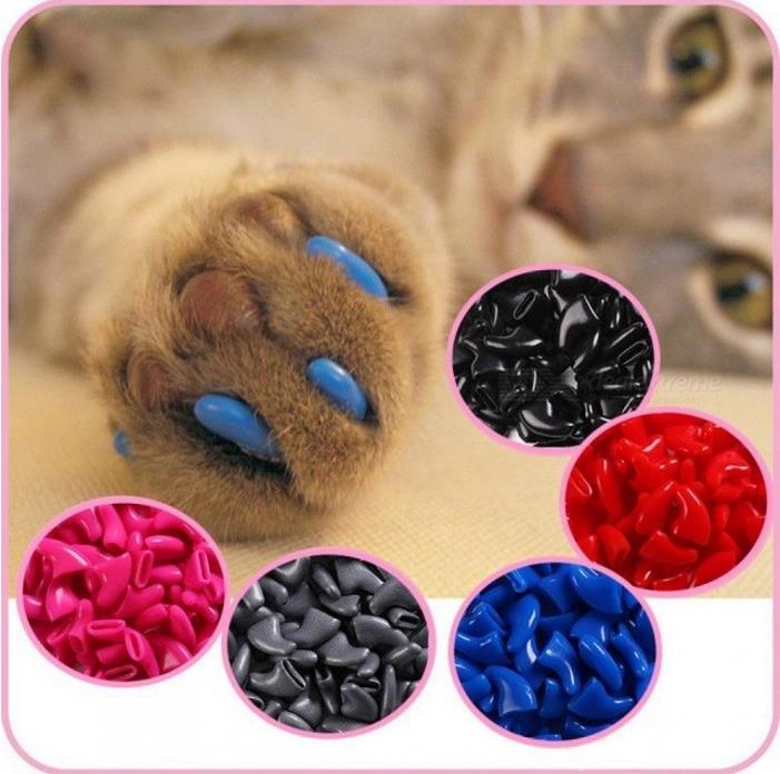 dx.com 20pcs-Soft-Cat-Nail-Caps-Cat-Nail-Cover-Paw-Claw-Pet-Silicon-Nail-Protector-with-Free-Glue-and-Applicator-M-Shining-Silver.jpg