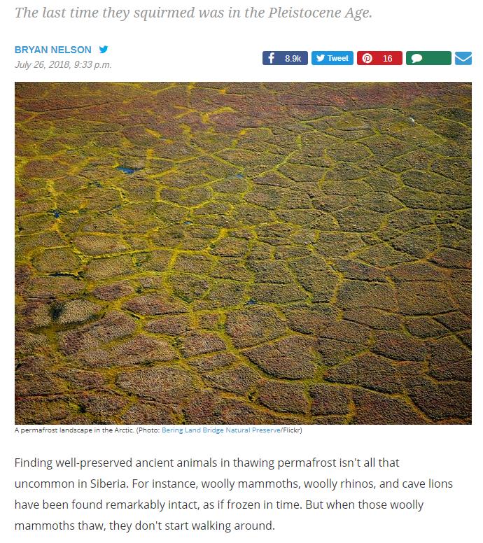 mnn.com earth-matters worms-frozen-permafrost-42000-years-brought-back-life.jpg