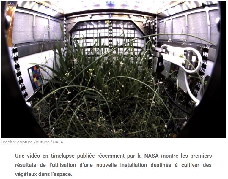 sciencepost.fr la-nouvelle-serre-de-liss-a-produit-ses-premiers-vegetaux.jpg