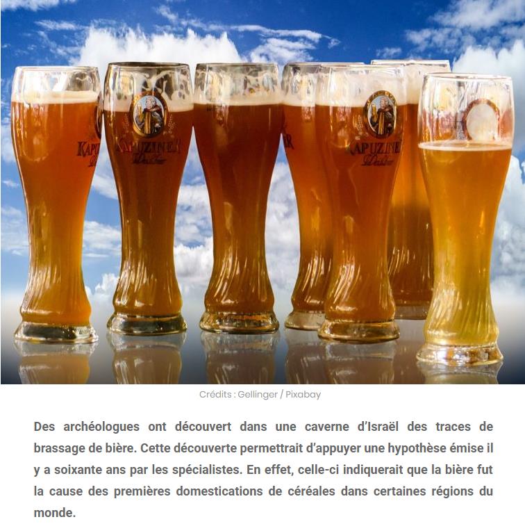 sciencepost.fr lhomme-et-la-biere-13-000-ans-dhistoire.jpg