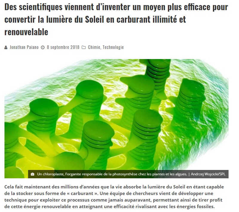 trustmyscience.com des-scientifiques-ont-invente-un-moyen-plus-efficace-conversion-lumiere-soleil-en-carburant-illimite-renouvelable.jpg