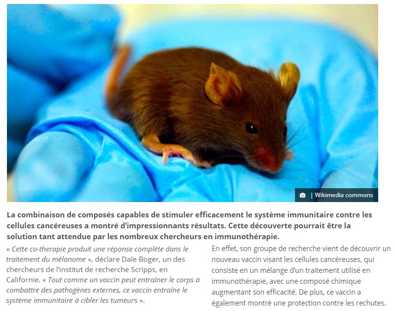 trustmyscience.com un-vaccin-anti-cancereux-montre-une-efficacite-de-100-contre-les-melanomes-sur-des-souris.jpg