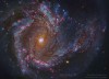 APOD - In the Center of Spiral Galaxy M61