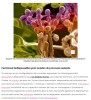 futura-sciences - Pourquoi les bactéries et champignons façonneront le XXIe siècle (1/2)