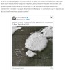 futura-sciences - Le 31 mai 2013 une tornade à la violence exceptionnelle s’est formée, et elle était si monstrueuse qu’elle ne ressemblait en rien à une tornade
