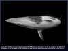 gizmodo - Dive Into the Most Breathtaking Ocean Photos of the Year