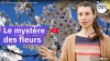 CNRS Lejournal - D’où viennent les fleurs ?