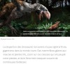 CNRS Lejournal - Quand le vivant était géant