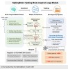 sciencepost - SpikingBrain 1.0, un modèle de langage de nouvelle génération