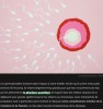presse-citron - Pourquoi les spermatozoïdes échappent aux lois classiques de la physique