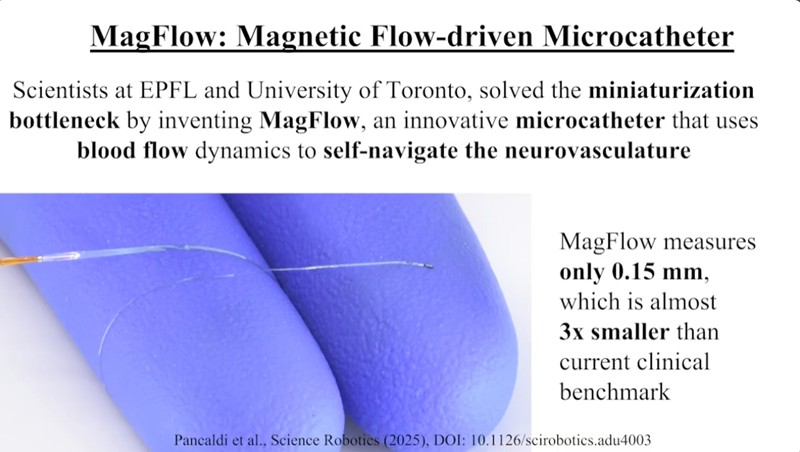 EPFL - Un microcathéter navigue dans les plus petits vaisseaux sanguins