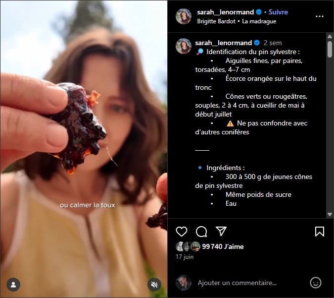 sarah__lenormand - Confiture de pin sylvestre