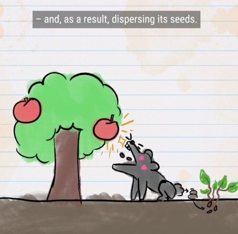 MinuteFood - No Matter What You Do, These Fruits WON’T Ripen