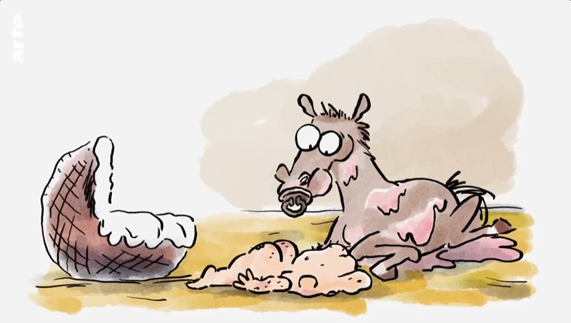 Pourquoi les bébés sont-ils moches ? | Tu mourras moins bête | SAISON 4 | ARTE