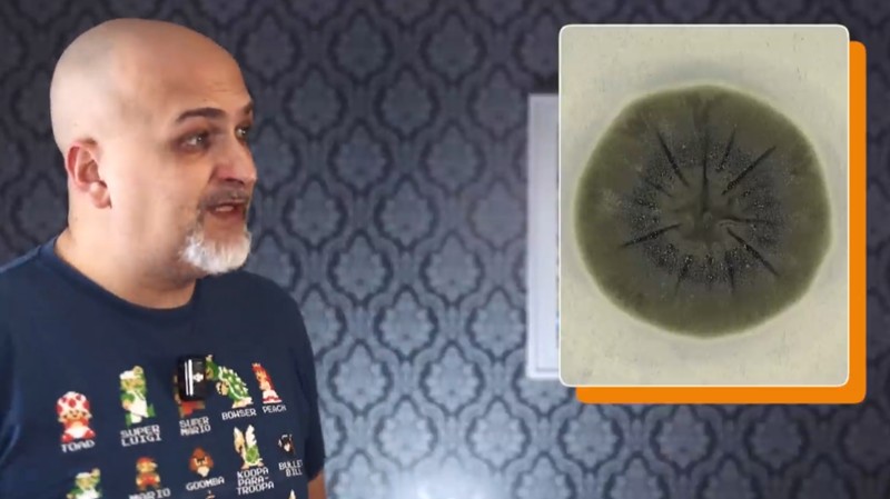 e-penser 2.0 - Le champignon dégueulasse de tchernobyl peut aider l'humanité à s'étendre