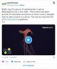 dailygeekshow - Un calmar géant rarement observé filmé dans les profondeurs de l’Atlantique