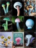 cyanesense - The Secret Life of Fungi