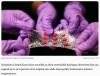 interestingengineering - Liquid metal hydrogel stretches 900% and powers batteries at temperatures of −4°F