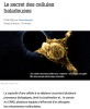 CNRS Lejournal - Le secret des cellules baladeuses