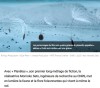 CNRS Lejournal - « Planètes », un film du CNRS en ode au vivant