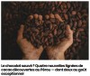 sciencepost - Le chocolat sauvé ? Quatre nouvelles lignées de cacao découvertes au Pérou — dont deux au goût exceptionnel
