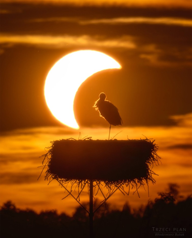 APOD - The Eclipse and the Stork