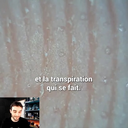 Dr Nozman - observer la transpiration au microscope