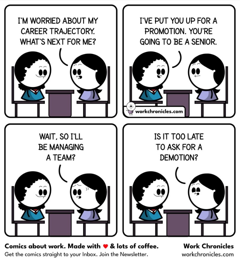 Work Chronicles - Team Management Anxiety