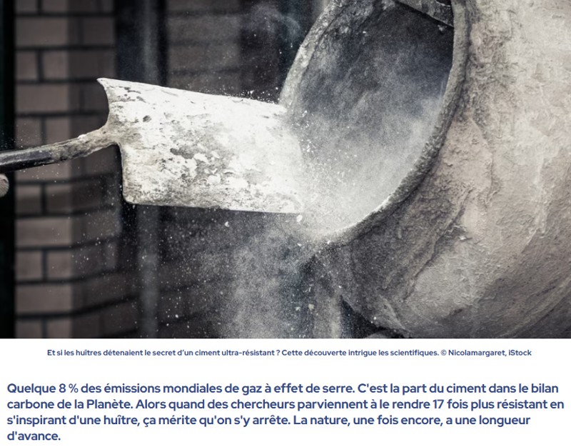 futura-sciences - Un ciment 17 fois plus résistant grâce aux huîtres : cette innovation pourrait transformer la construction moderne