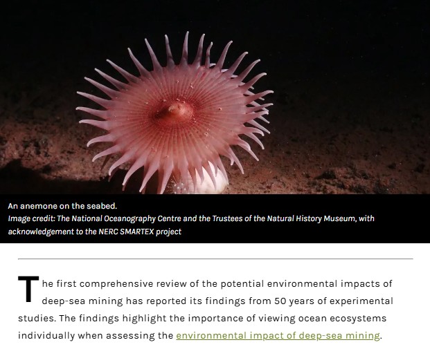 iflscience - “No Further Research Is Needed”: 50 Years Of Experiments Reveals Deep-Sea Mining At Vents And Seamounts Risks Species Extinction