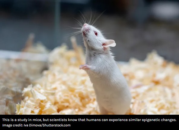 iflscience - Scientists Made Mice Fear A Smell They'd Never Experienced – But It Had Traumatized Their Parents