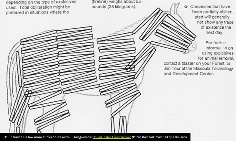 iflscience - The US Government Guide To Completely Obliterating A Horse With Explosives