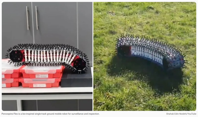 interestingengineering - Video: Bio-inspired robot crawls pipes and rubble using 3D-printed spine, no extra motors