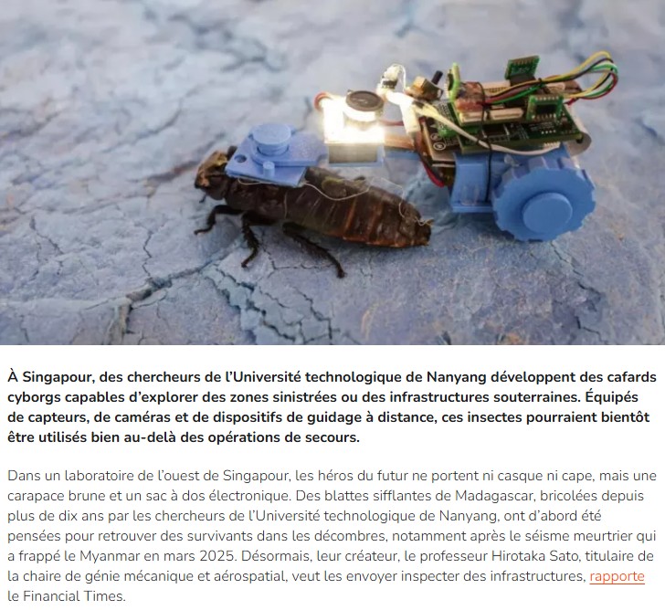 numerama - À Singapour, des cafards cyborgs se préparent à envahir les canalisations