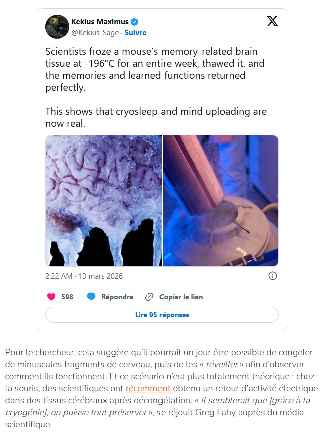 numerama - Ils ont conservé son cerveau dans le froid extrême pendant plus de dix ans : voici ce que les scientifiques ont découvert