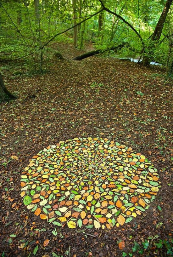 oddlysatisfying - Making a mosaic with autumn leaves 
