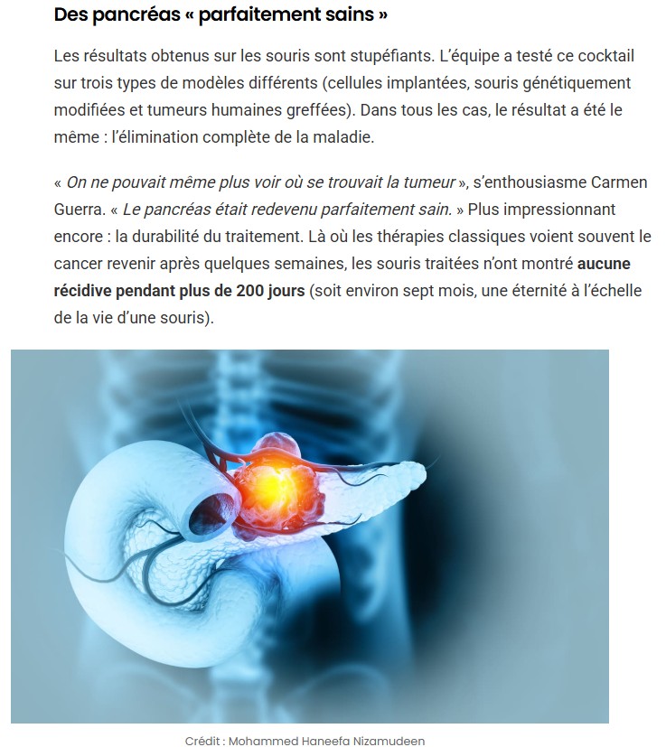 sciencepost - une nouvelle trithérapie a totalement « effacé » le cancer du pancréas chez la souris