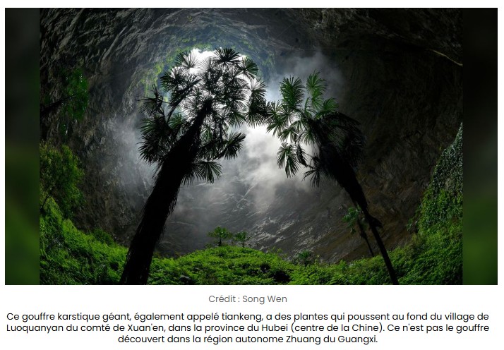 sciencepost - Un trou béant de 192 mètres de profondeur abrite une forêt-oasis de biodiversité