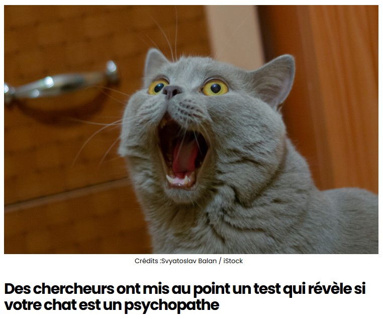 sciencepost - Des chercheurs ont mis au point un test qui révèle si votre chat est un psychopathe