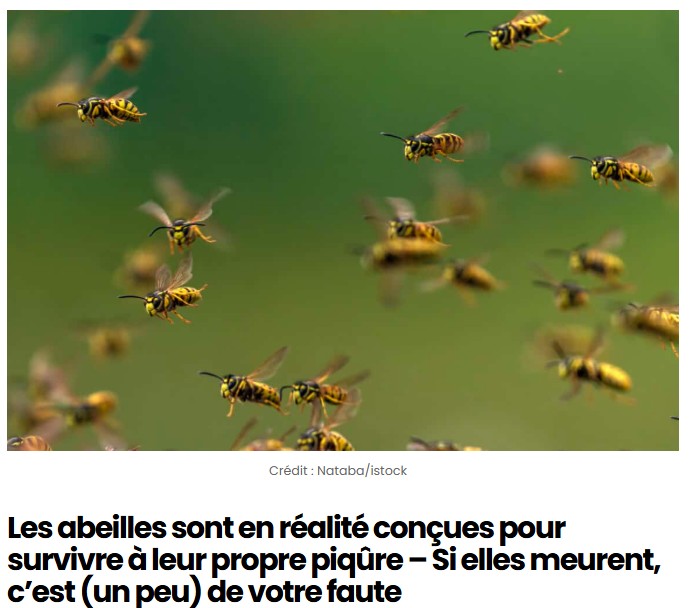 sciencepost - Les abeilles sont en réalité conçues pour survivre à leur propre piqûre