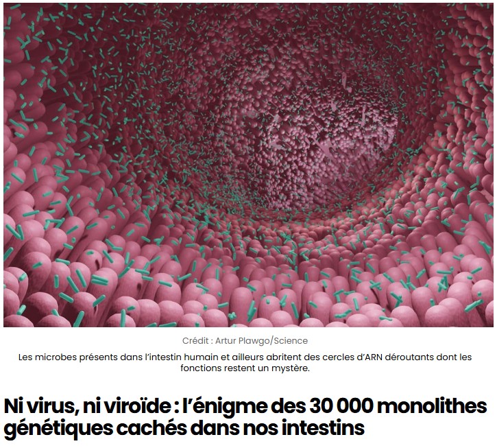sciencepost - Ni virus, ni viroïde : l’énigme des 30 000 monolithes génétiques cachés dans nos intestins