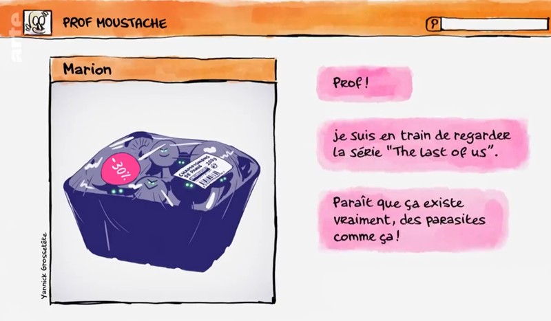 La Fin du Monde pour les Nuls | Compilation | Tu mourras moins bête | ARTE