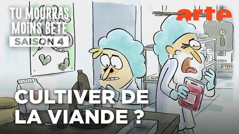 La beauce, en steak | Tu mourras moins bête | ARTE